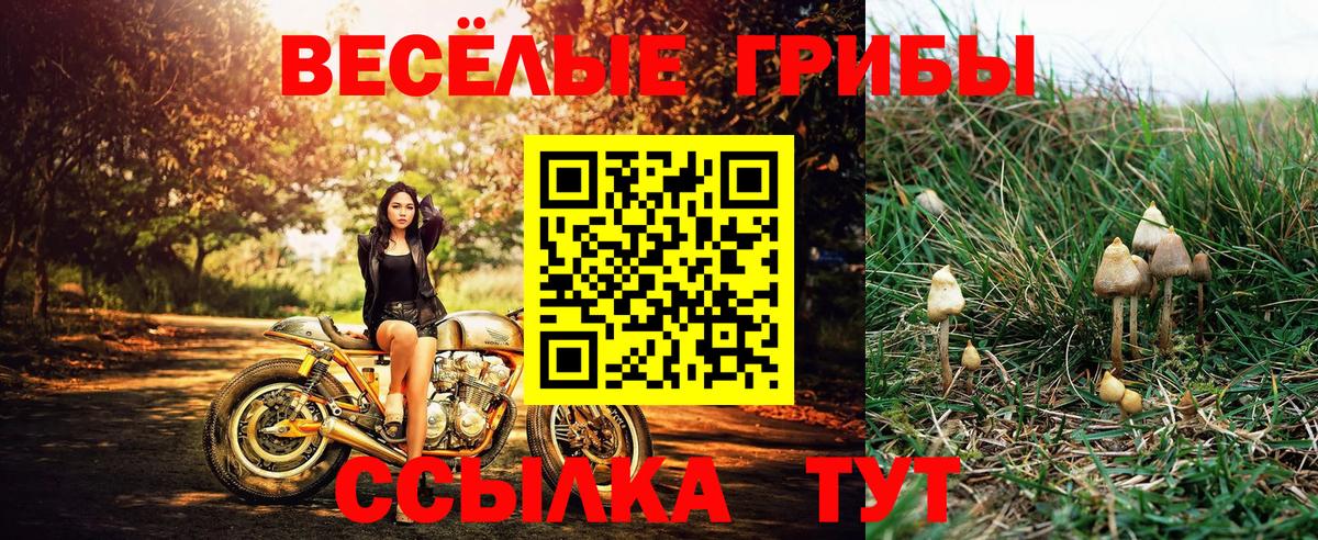 Галлюциногенные грибы Cubensis Лыткарино